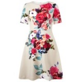 Phase Eight Aurora Floral Dress. Flower prints / fit and flare dresses