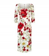 Dolce & Gabbana Floral Pencil Dress ~ poppy prints ~ daisy prints ~ designer dresses ~ love Italy ~ vibrant Italian fashion