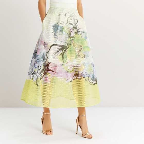 COAST Daisy Mesh Skirt ~ sheer floral skirts - flipped