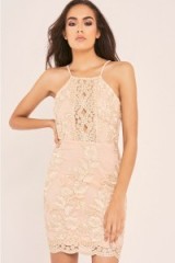 IN THE STYLE KYRAH NUDE EMBROIDERED LACE BODYCON DRESS