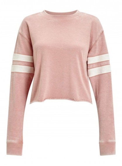 MISS SELFRIDGE Pink Stripe Sleeve Crop Sweatshirt - flipped