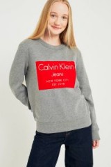 Calvin Klein Jeans Flocked Box Logo Sweatshirt / grey designer sweatshirts