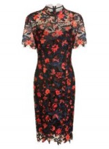 Paper Dolls Multi Printed Lace High Neck Pencil Dress – semi sheer floral party dresses