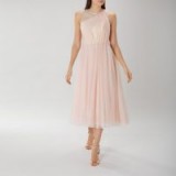 Coast Karo Tulle Dress in blush – pastel-pink dresses