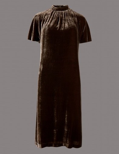 AUTOGRAPH Velvet Short Sleeve Shift Dress in Cocoa / dark brown Autumn dresses - flipped