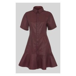WHISTLES Leather Mini Dress in Burgundy - flipped
