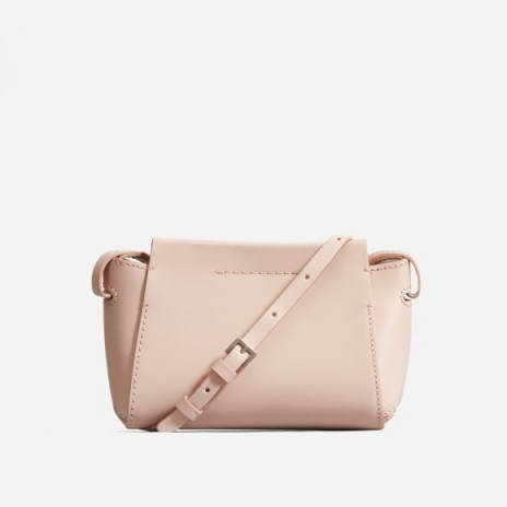 EVERLANE The Micro Form Bag in Pink Sand / small crossbody - flipped