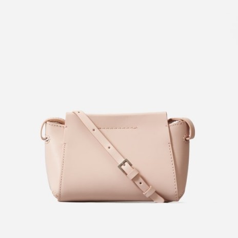 EVERLANE The Micro Form Bag in Pink Sand / small crossbody