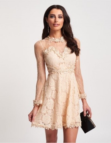 FOREVER UNIQUE Nude Lace Skater Dress - flipped