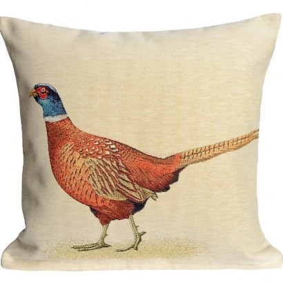 Kailyn Pheasant Cushion Cover by August Grove – so lovely!