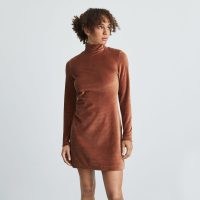 EVERLANE The Velour Mini Dress Brown Stucco ~ long sleeve high neck soft feel dresses