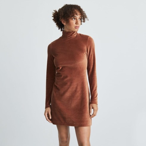 EVERLANE The Velour Mini Dress Brown Stucco ~ long sleeve high neck soft feel dresses