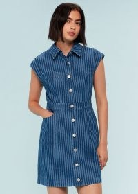 WHISTLES DENIM BODICE STRIPE DRESS | cap sleeve collared dresses | tonal blue striped fashion
